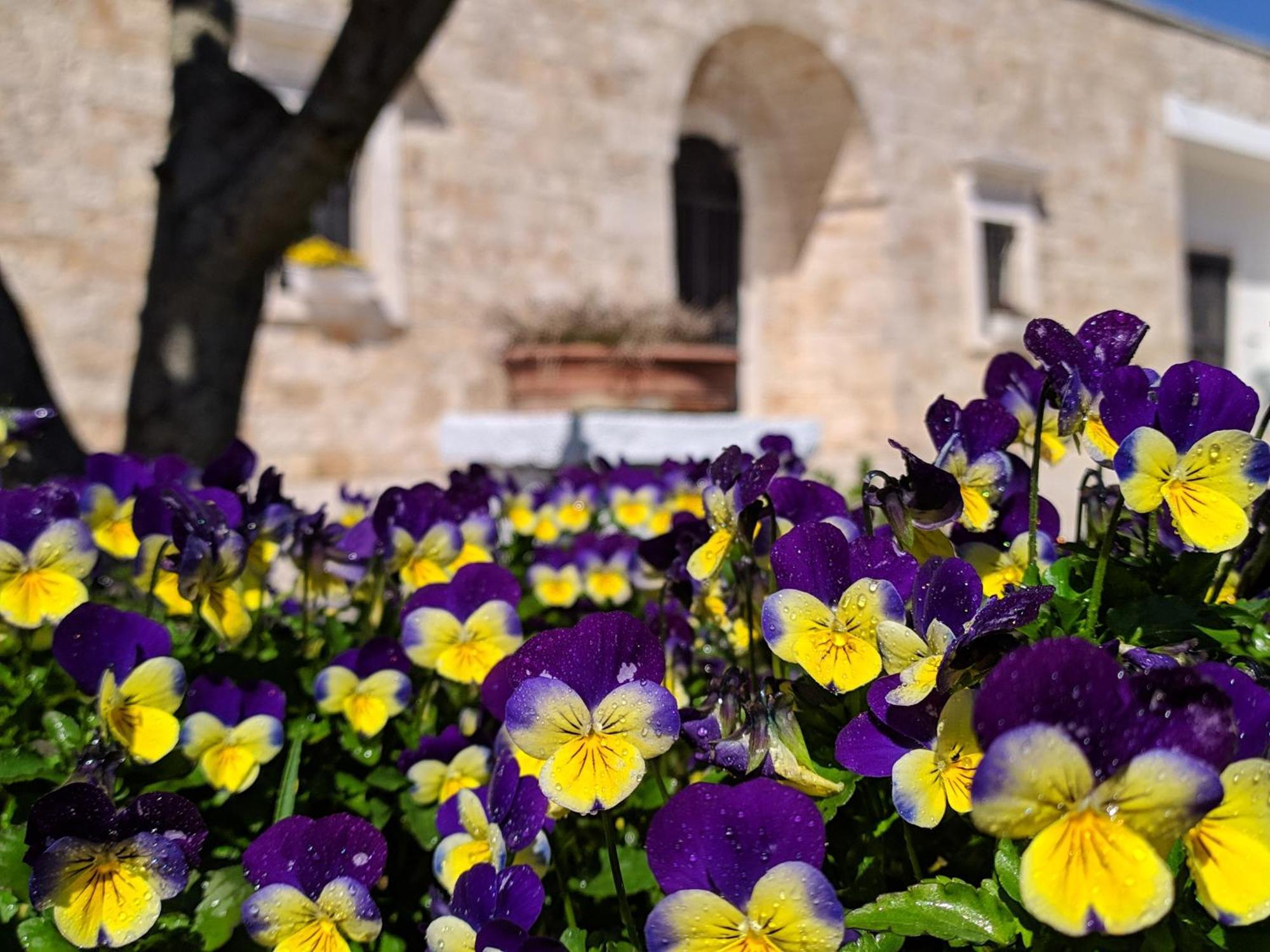 Il Sogno Aparthotel Alberobello Kültér fotó